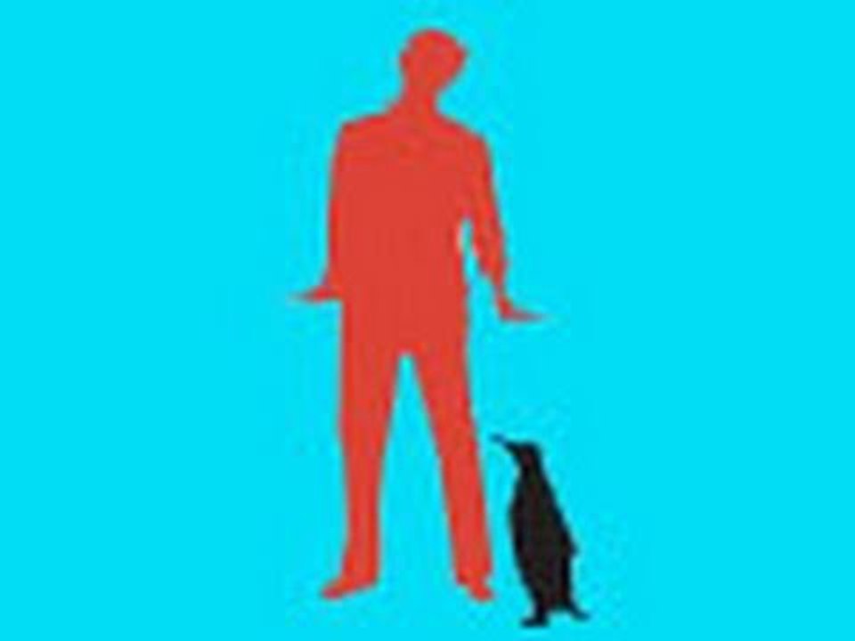 Mr Popper's Penguins - Trailer