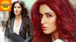 Katrina Kaif's Red Coloured Hair Costs 55 Lakh Rupees | Bollywood Asia