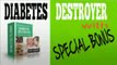 Diabetes Destroyer - Diabetes Destroyed Book - Natural Diabetes Treatment