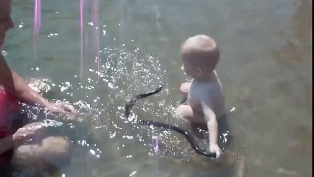 Шок! У кого слабые нервы лучше не смотрите