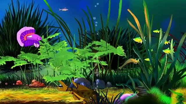 Уроки тётушки Совы. Мои домашние питомцы (Аквариум)