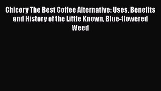 Chicory The Best Coffee Alternative: Uses Benefits and History of the Little Known Blue-flowered