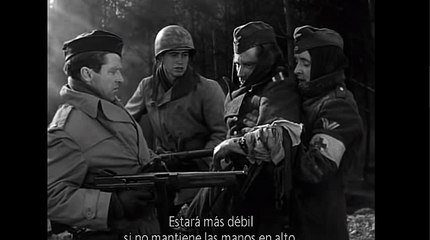 실전바카라＠…K O P 7 7 , C0M…†로얄드림카지노싸이트↕바카라프로그램