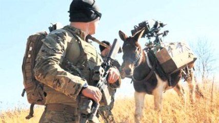 TSK, 1800 TL Karşılığında Katır Alacak