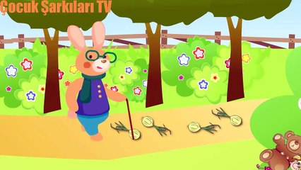 Seni yaramaz Kedi çocuk şarkısı