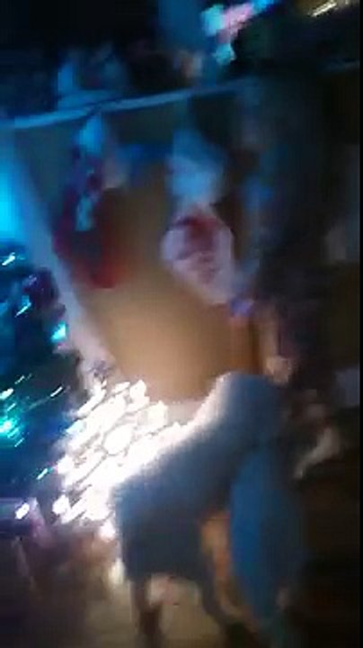 My bichon frise playing