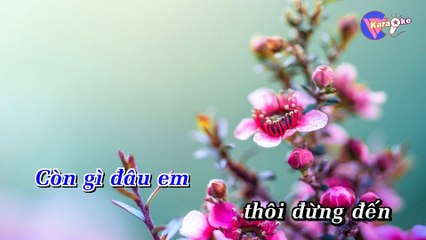 Xin Làm Người Xa Lạ - Karaoke HD [Beat Chuẩn] - (1080p)