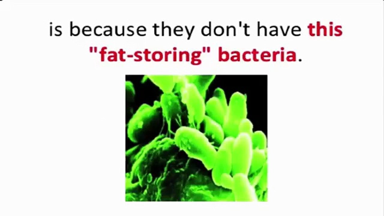 Skinny Protocol 101 Review - Breakthrough Protocol Melts Fat Like Butter