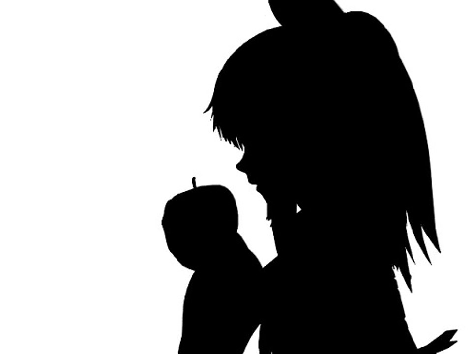 【Touhou】Bad Apple!!　PV【Silhouettes】