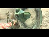 Rango - Trailer - Extra Video Clip 1
