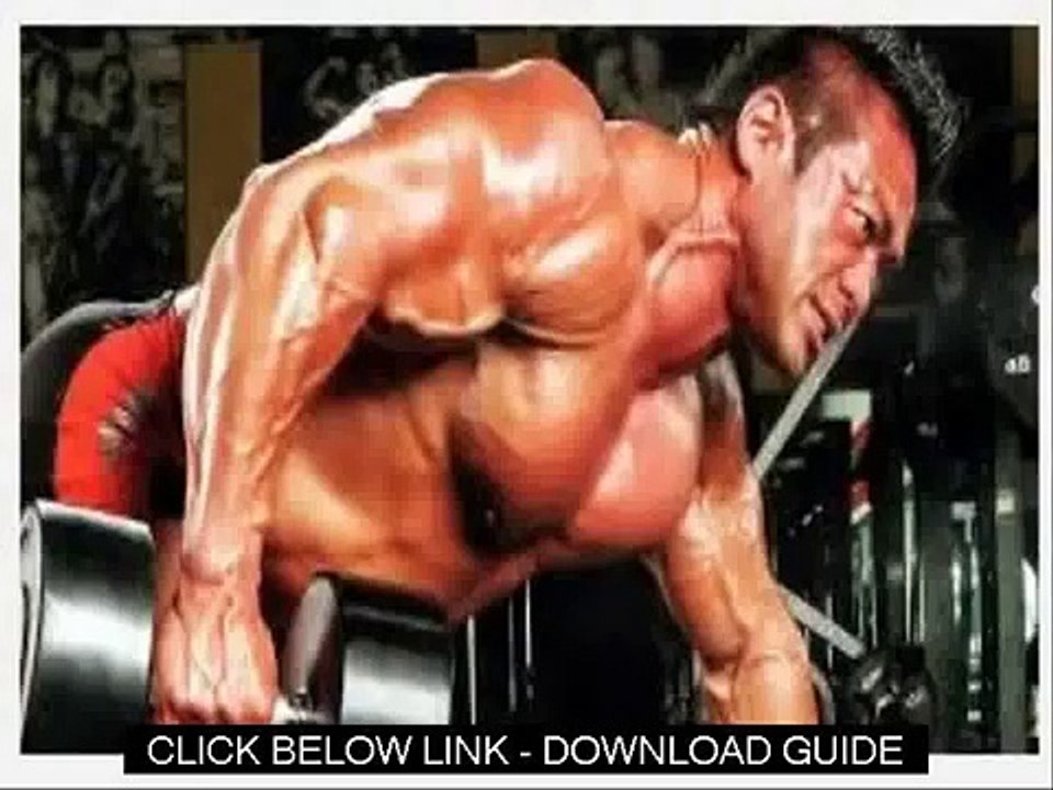 Muscle Training Program   2 X 4 Maximum Strength Program Review Guide