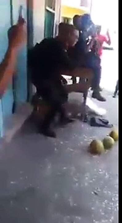 Most Funny Cats And Dogs Playing Fruit Ninja Compilation 2014