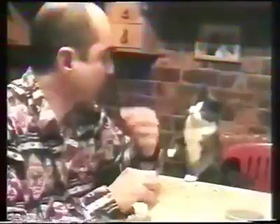Le chat de cet homme sourd communique  avec lui en langue de s...