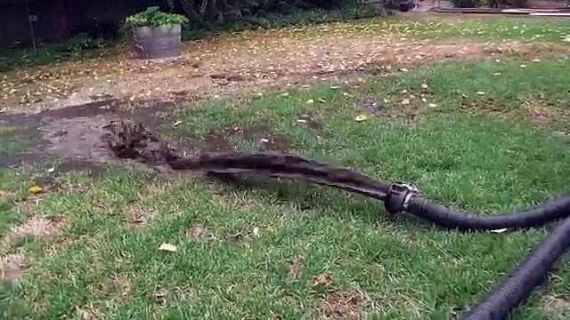 Rainwater Tank Cleaning & Water Filtration - The Tank Doctor