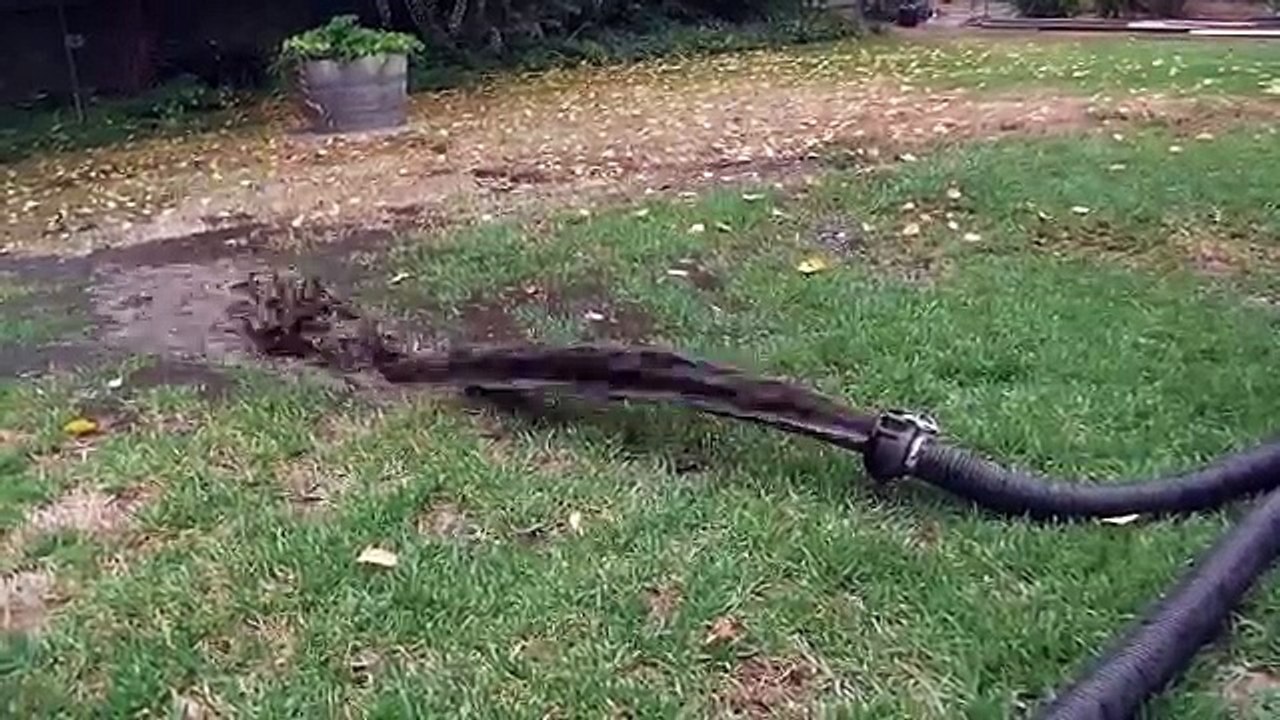 Rainwater Tank Cleaning & Water Filtration - The Tank Doctor