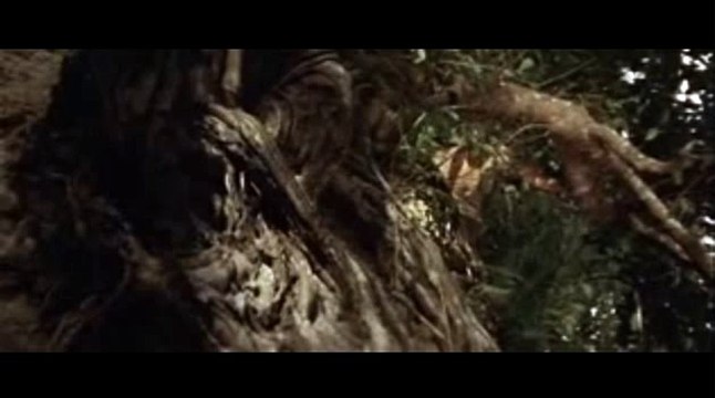 바카라연승▶KOP77,COM†바카라추천사이트▣바카라주소