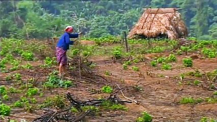 Laos Wonderland (full documentary) The Secrets of Nature
