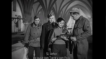 바카라딜러○…K O P 7 7 , C0M…⊙바카라그림㏇바카라주소