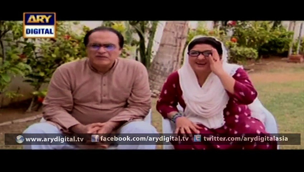 Bulbulay Episode  246  28th January 2016 on ARY Digital