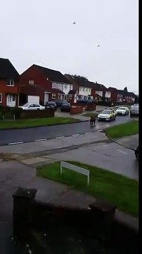 Course-poursuite trop mignonne : poney Shetland VS police anglaise