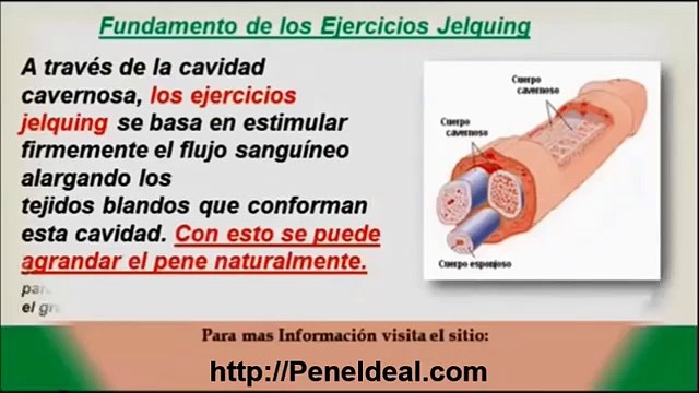 Alargamiento Natural del miembro masculino tambien como mejorar las erecciones