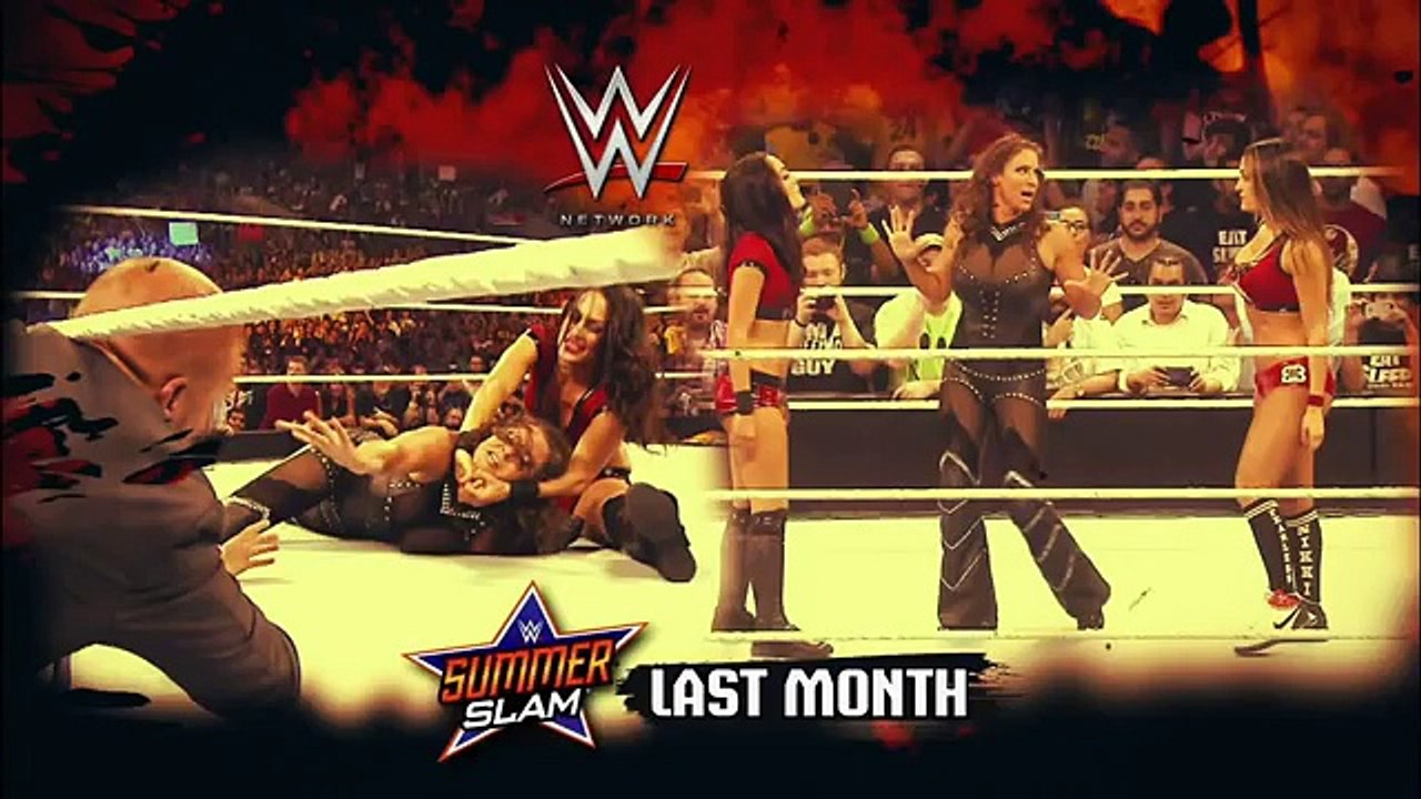 WWE SmackDown 09.05.14 Paige vs. Brie Bella (720p)