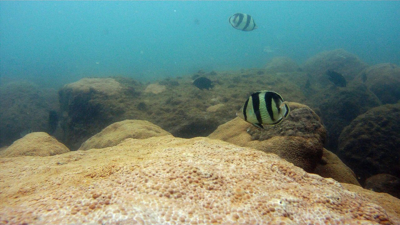 Mares, Ubatuba, SP, Brasil, Marcelo Ambrogi, 2016