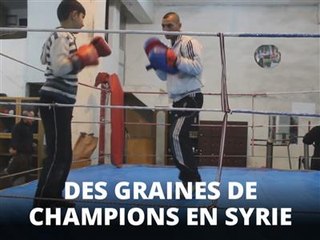 En Syrie, un club de boxe forme les champions de demain