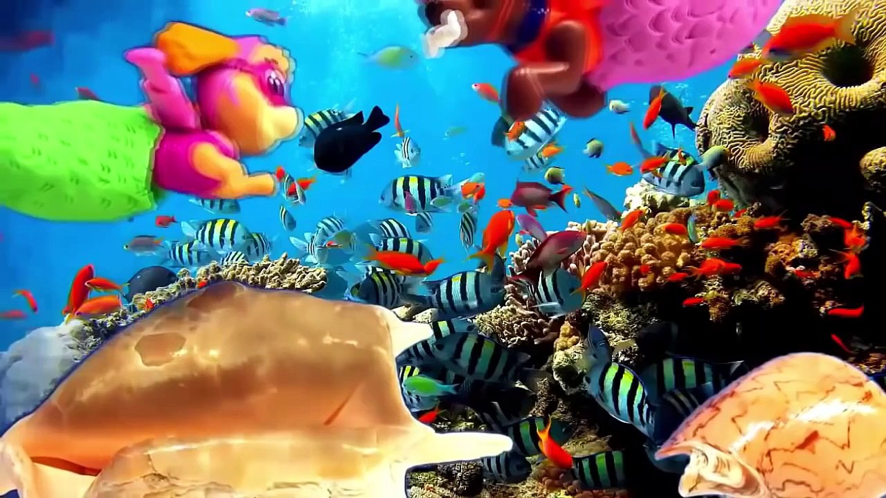 La Patrulla Canina 05 Cachorro Sirena Clip
