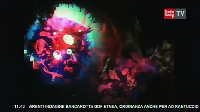 Un Giorno Speciale - Inchiesta Fiorai Notturni (parte 4) - 29 gennaio 2016