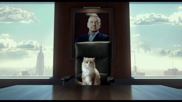 MA VIE DE CHAT - Teaser officiel VOST [Kevin Spacey, Jennifer Garner]
