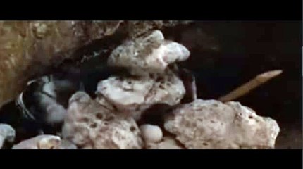 바카라가입머니※KOP77,COM☞바카라주소♥바카라추천사이트