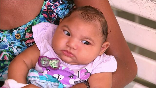 Zika Virus is 'spreading explosively'