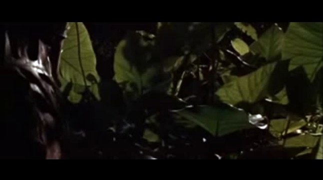 국내카지노◀KOP77,COM♬사설토토사이트추천☆양방배팅계산기