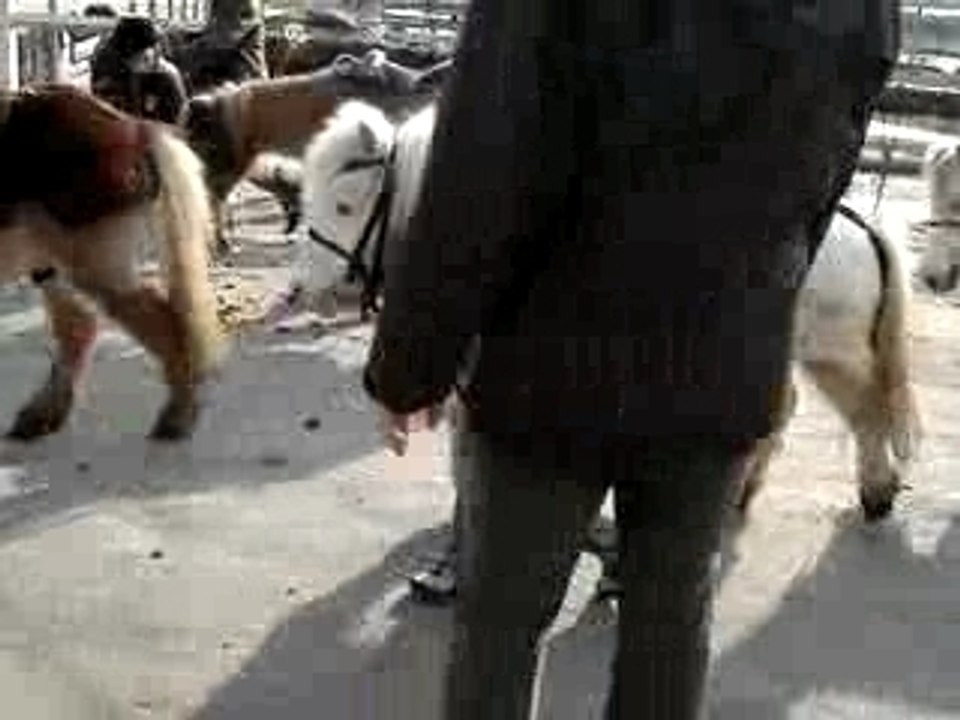 Vadim au stage de poney