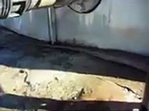 Very very shocking video scary dangerous snake