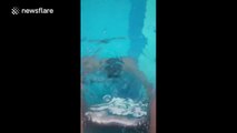 Man holds his breath underwater for two whole minutes