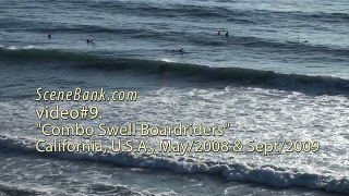 Combo Swell Boardriders - surfing