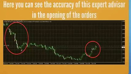 Atomic EA automated forex trading software has become very popular