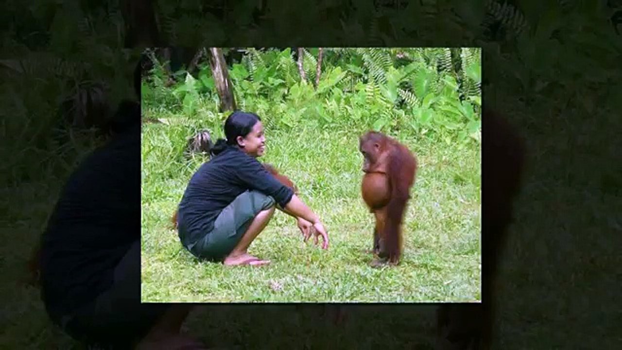 Right Moment Pics Fail | PHOTOS TAKEN AT The RIGHT TIME | Top Funny Videos 2016 (FULL HD)