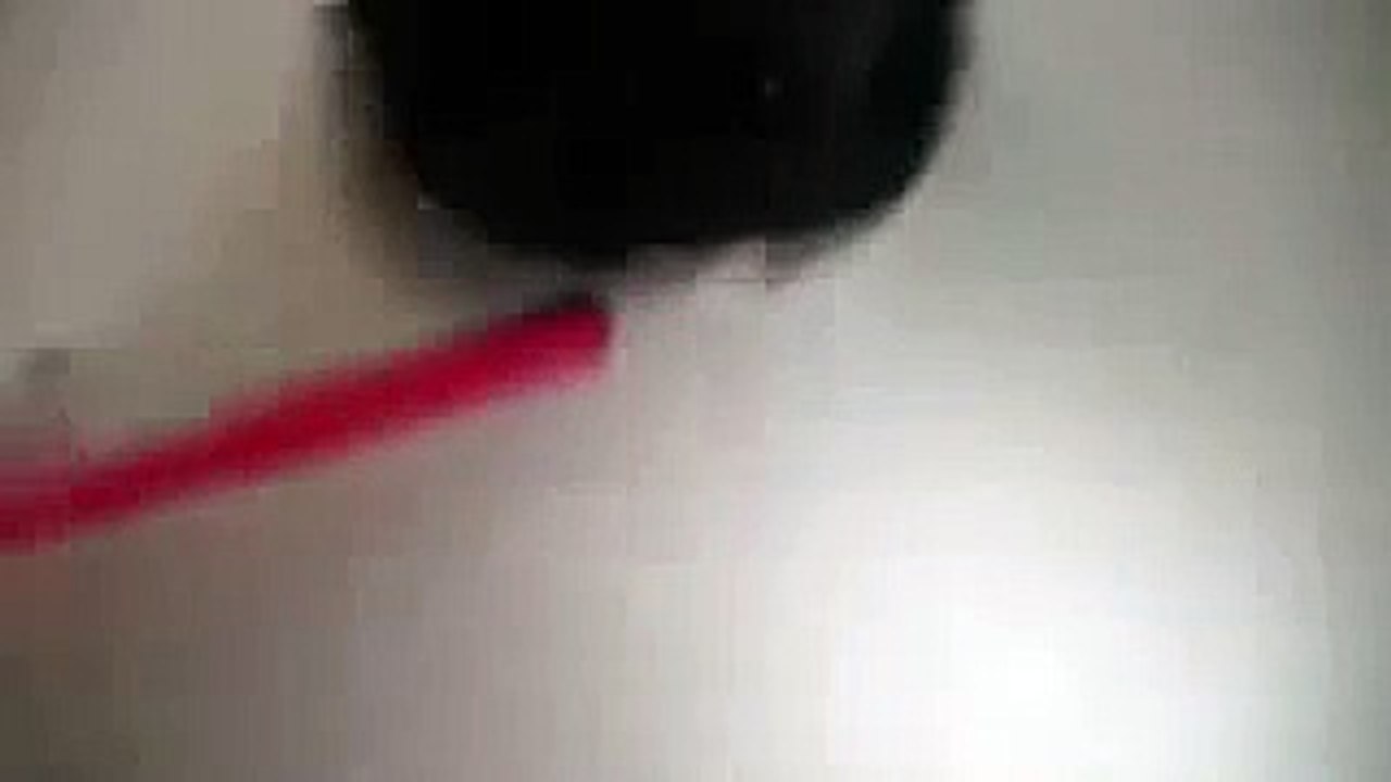 Кот в дырке!