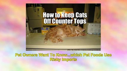 Petsumer Report Pet Food Ratings And Reviews