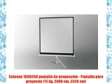 Celexon 1090268 pantalla de proyecci?n - Pantalla para proyector (11 kg 2990 cm 2320 cm)