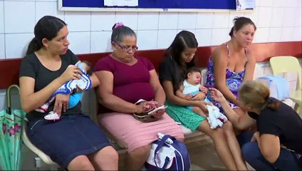 Zika Virus may become Global Thread like Dengue