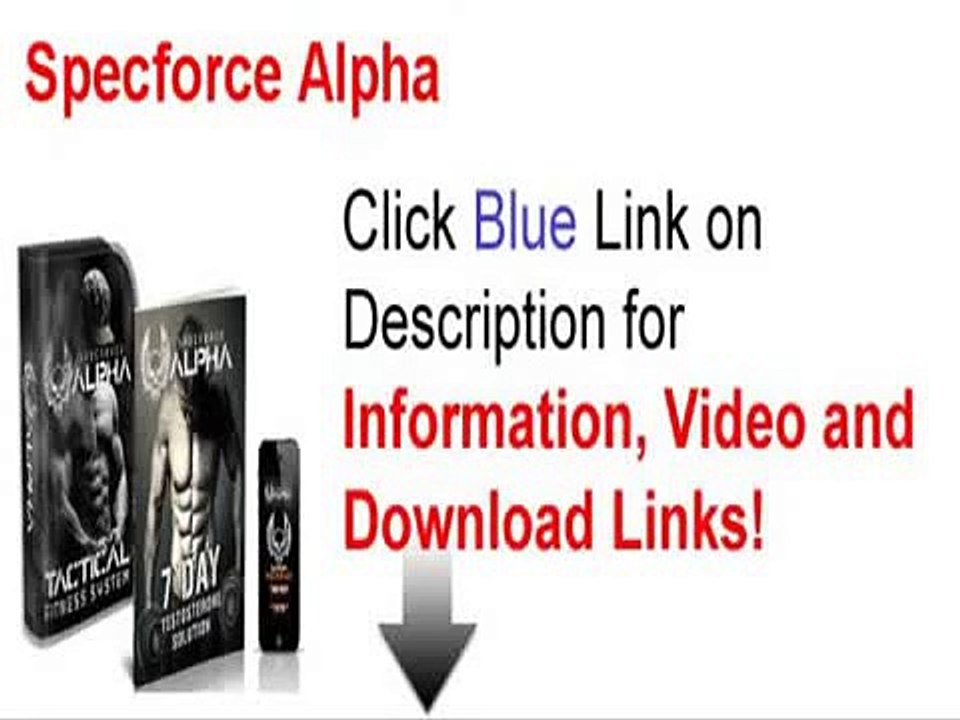 Specforce Alpha Program Review - Specforce Alpha