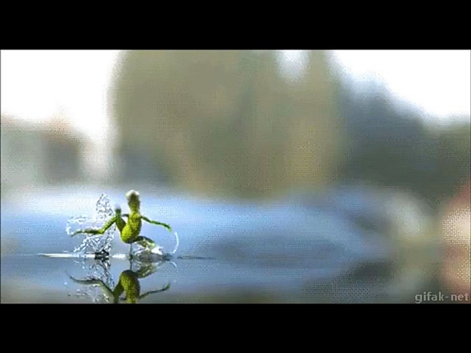 Beautiful Engineering | lizard running on water