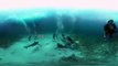 MythBusters: Underwater Shark Experiment (360 Video)