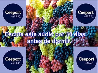 HOOPONOPONO AUDIO PARA ABRIR OS CAMINHOS DA VIDA