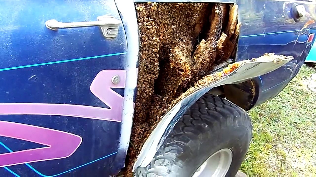 L'étonnante découverte d'un homme voulait faire réparer sa vieille voiture