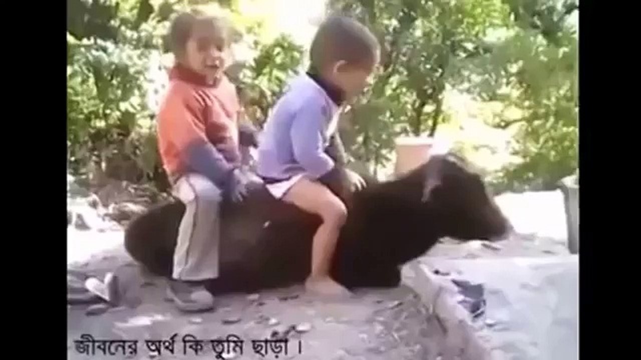 Whatsapp Funny videos  - Funny video compilation 2016 that make you laugh (FULL HD)